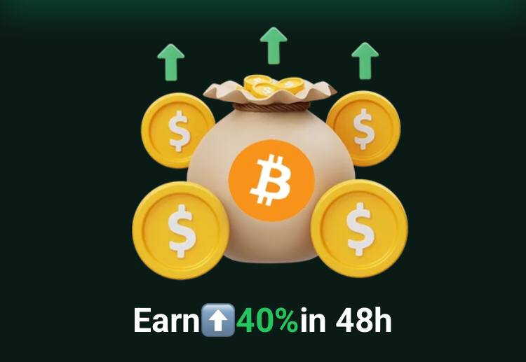 Hash Arena Game Interface